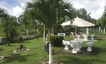 Imagem 4: Casa com piscina