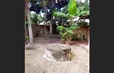 Imagem 6: Vendo casa com 4 quartos, 2 salas, quintal e uma área na frente da varanda