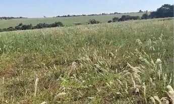 Imagem: Fazenda sentido Leopoldo Bulhões na GO330