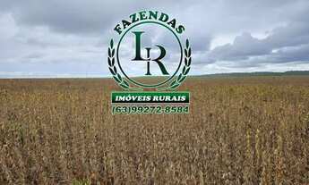 Imagem 6: Fazenda 365 alqueires, 1.766 hectares, Área aberta