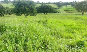 Imagem 7: Chácara no município de Mara Rosa 4,2 alqueires