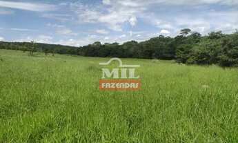 Imagem 5: Fazenda 26 alqueires (125,84 hectares ) Goianésia - Go