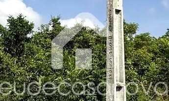 Imagem: 3 Lotes / Chácaras de January - Iranduba