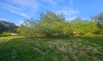 Imagem: Imóvel para venda possui 2000 metros quadrados