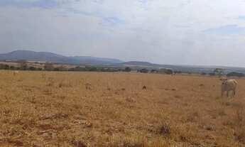 Imagem 5: Fazenda a venda, em Barro Alto / Goiàs