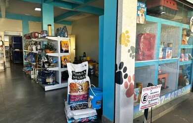 Imagem 2: Pet Shop à Venda - Ponto Comercial Consolidado no Setor Bueno!