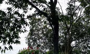 Imagem 2: Sítio a venda Chácara com venda por R$120.000