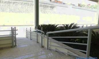 Imagem 3: CONJ. COMERCIAL - JARDIM MUTINGA - SP