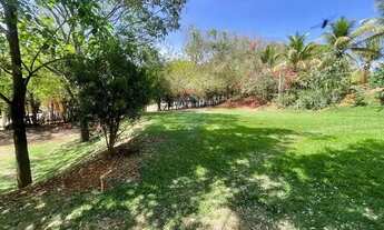 Imagem 4: A VENDA CHÁCARA SITÌO RECREIO IPÊ - GOIANIA ATRAS DO CEASA