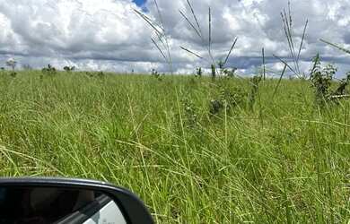 Imagem 4: Fazenda a venda em Mineiros - Goiás!