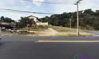 Imagem 2: TERRENO - JARDIM DAS PALMEIRAS - SP