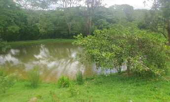 Imagem: BOMFINOPOLIS 5 algueiro na beira da GO 600