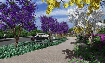 Imagem: Vendo Lotes com Riacho nos Fundos em Condomínio