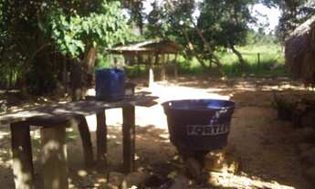 Imagem 6: Fazenda 13.5 alq no Tocantins m Goiatins