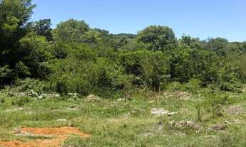 Imagem 5: Vendo terrenos na Mombaça