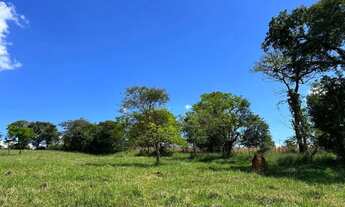 Imagem 6: Fazendas Terras de Minas Alto Luxo com Segurança Lazer e Área Verde