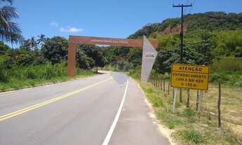 Imagem 4: Sítio à venda com 28 mil m² - Coqueiros Seco - Alagoas