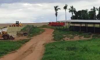 Imagem: Sítio 10 alqueires em Edeia-Go