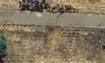 Imagem 3: Vendo lote no luzimangues