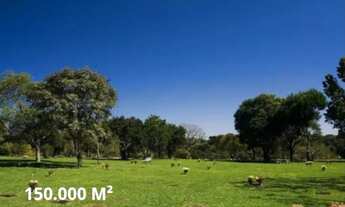 Imagem 4: Jazigo com 3 gavetas e lápide, no Cemitério Parque Iguaçu 2m2