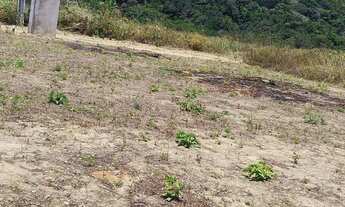 Imagem: TERRENO PARIPUEIRA, PRÓXIMO A PRAIA DE