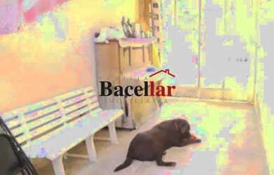 Imagem 3: Casa de rua - Duplex / Residencial / Andaraí