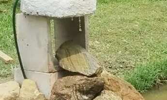 Imagem 4: Oportunidade de ter sua Chácara em Sjc