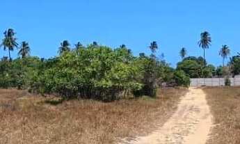 Imagem 6: Terreno Urbano para Venda em Paripueira, AL 101 Norte