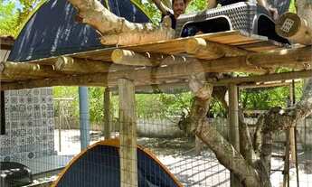 Imagem 7: Chácara com 6 quartos à venda em Centro - AL