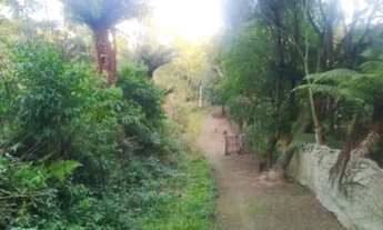 Imagem 5: Chacarra quatro baras