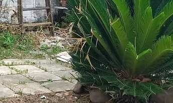 Imagem 2: Vendo Casa com 3 dormitórios