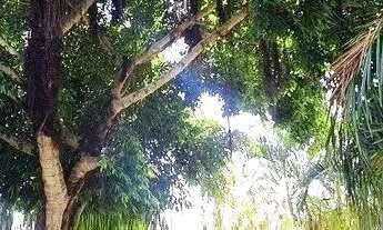 Imagem 5: CASA A VENDA EM CONDOMÍNIO -LAURO DE FREITAS /BA