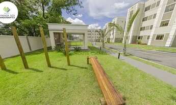 Imagem 6: Vendo Apto 2 quartos - LINDO - Pronto para Morar - Chap. Bandeirantes