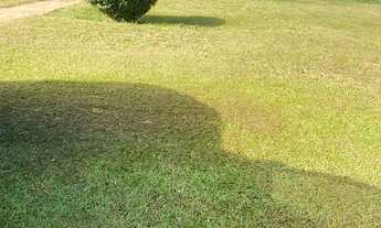 Imagem 6: Alugo temporada 1.000,00 diaria fazenda Pirinopolis