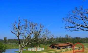 Imagem: Área à venda e locação, 70000 m² Aparecida