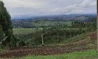 Imagem 2: Vendo ou troco chácara em taici Rio Branco do Sul por casa, carro, em Almirante Tamandaré