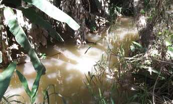 Imagem 3: Sítio comercial com água, 5000m as margens da MG 10. WhatAap * Guilherme