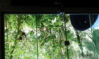 Imagem 7: Casa para alugar no bairro belvederes em frente a área de preservação ambiental