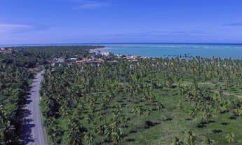 Imagem 2: Terreno em condomínio fechado, pé na areia - Ipioca - Litoral Norte - AL