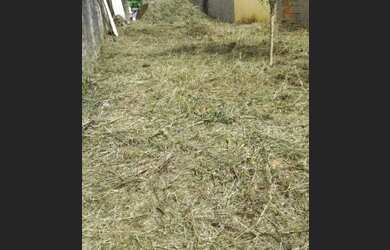 Imagem 3: Terreno em Peruíbe