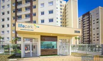 Imagem 7: Canoas - Padrão - Marechal Rondon