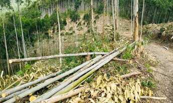 Imagem: Salesópolis terrenos planos