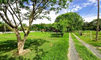 Imagem 6: SÍTIO À VENDA - CARDEAL - ELIAS FAUSTO