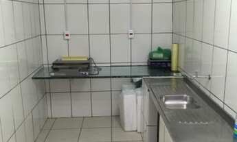 Imagem 5: Palmito pupunha Fazendinha Juquia