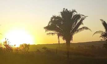 Imagem 5: Alugo chacara para temporada exclusivamente para famílias e pequenos grupos