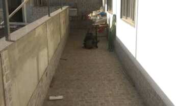 Imagem 5: Apartamento Apartamento com 2 dormitórios