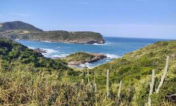 Imagem 2: VENDO EXCELENTES TERRENOS EM PRAIA DAS FOCAS - BÚZIUS