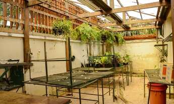 Imagem 2: São Paulo - Casa Padrão - JARDIM AMÉRICA