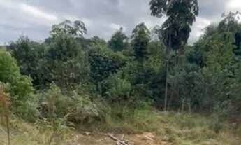 Imagem: Chácara a venda