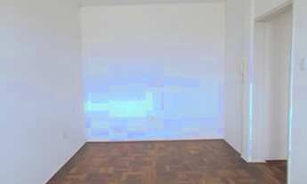 Imagem 4: PORTO ALEGRE - Padrão - São João